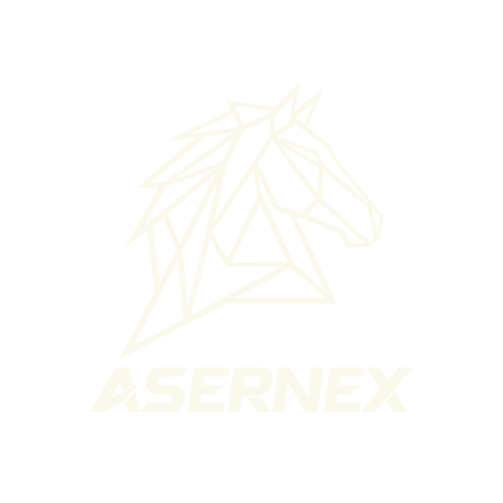 asernex_logo_all_vt_transparent